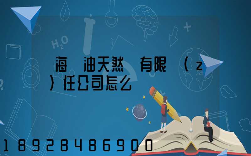 烏海華油天然氣有限責(zé)任公司怎么樣