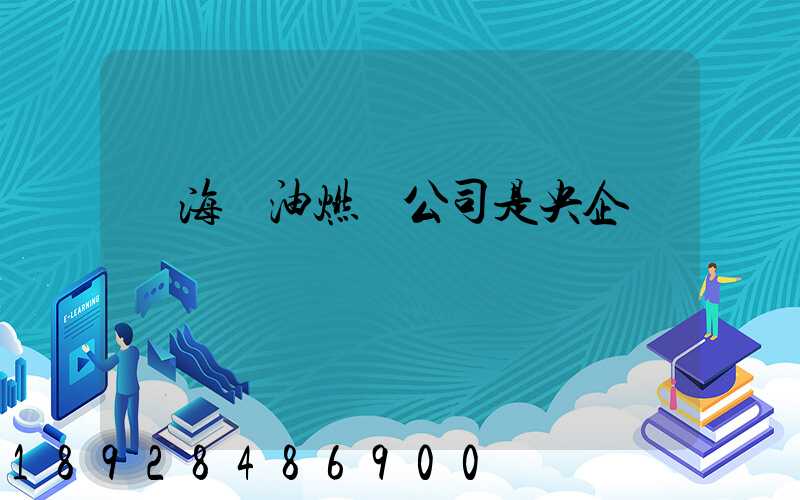 烏海華油燃氣公司是央企嗎