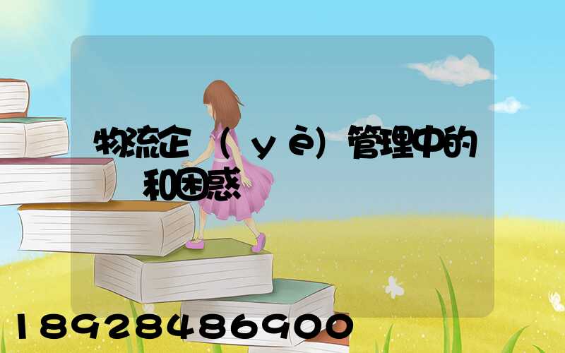 物流企業(yè)管理中的問題和困惑