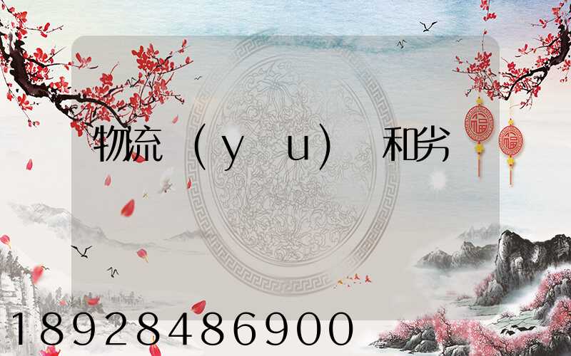 物流優(yōu)勢和劣勢