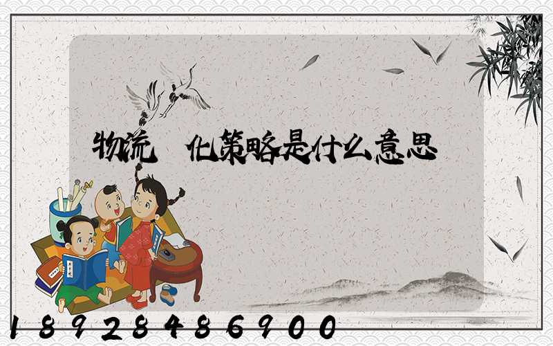 物流優化策略是什么意思