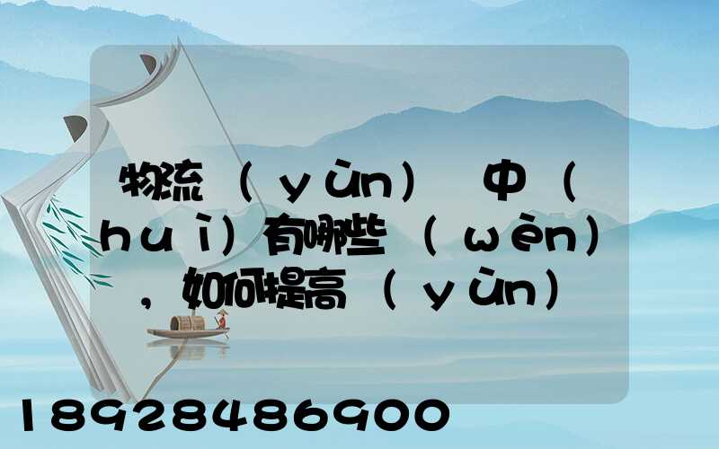 物流運(yùn)輸中會(huì)有哪些問(wèn)題,如何提高運(yùn)輸效率。
