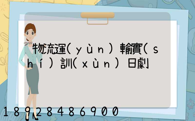 物流運(yùn)輸實(shí)訓(xùn)日劇