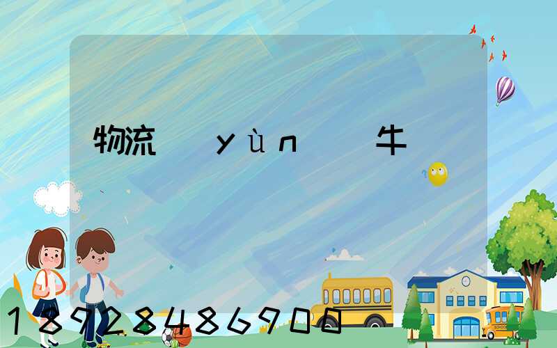 物流運(yùn)輸牛