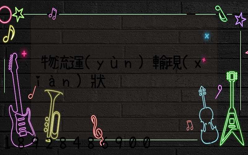 物流運(yùn)輸現(xiàn)狀