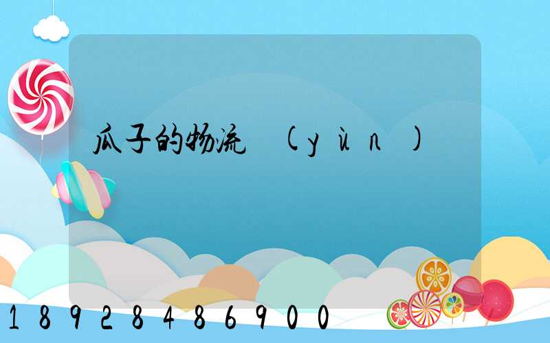 瓜子的物流運(yùn)輸