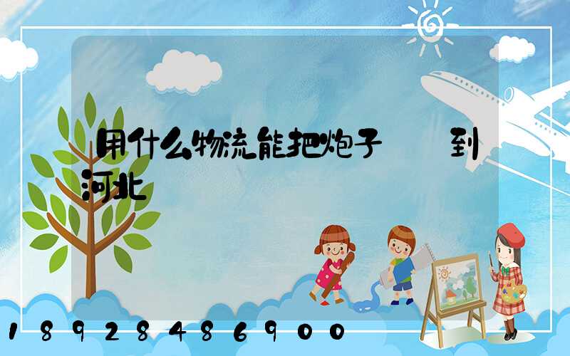 用什么物流能把炮子槍發到河北