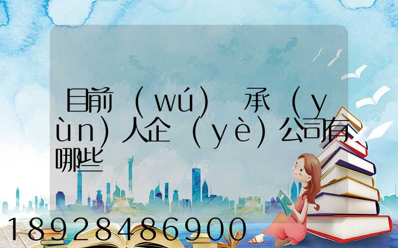 目前無(wú)車承運(yùn)人企業(yè)公司有哪些