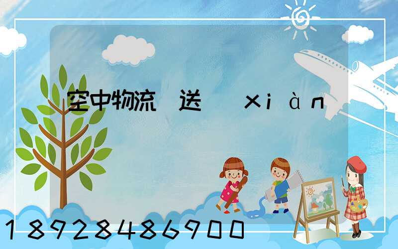 空中物流輸送線(xiàn)