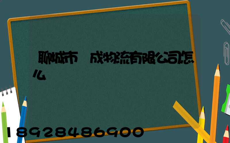 聊城市龍成物流有限公司怎么樣
