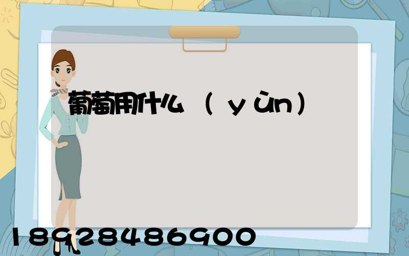 葡萄用什么運(yùn)輸