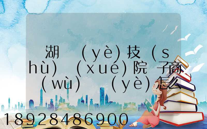 蕪湖職業(yè)技術(shù)學(xué)院電子商務(wù)專業(yè)怎么樣