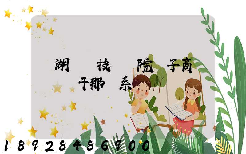 蕪湖職業技術學院電子商務專業屬于那個系