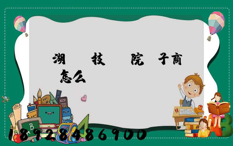蕪湖職業技術學院電子商務專業怎么樣