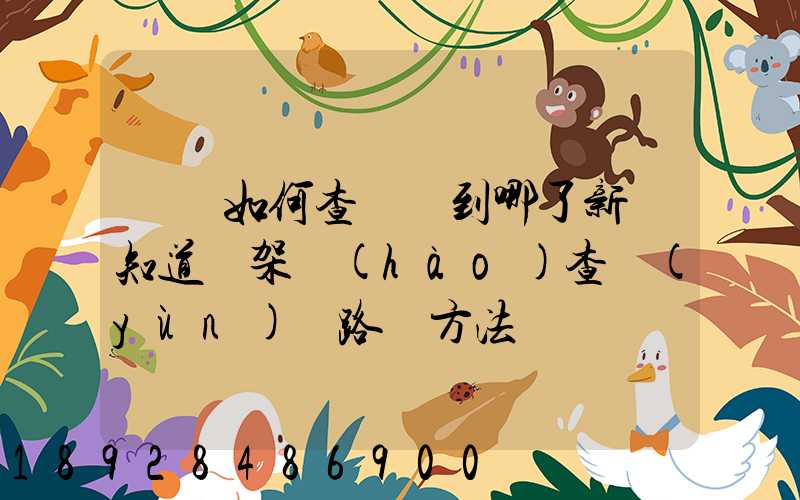 訂車如何查詢車到哪了新車知道車架號(hào)查運(yùn)輸路線方法