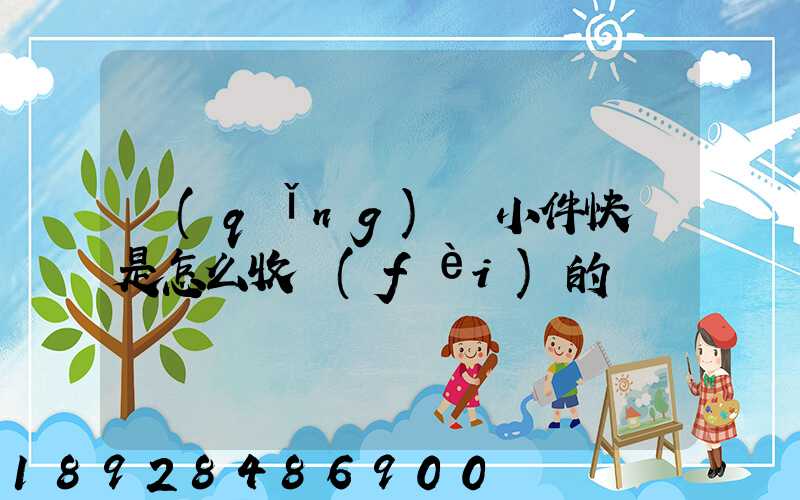 請(qǐng)問小件快遞是怎么收費(fèi)的