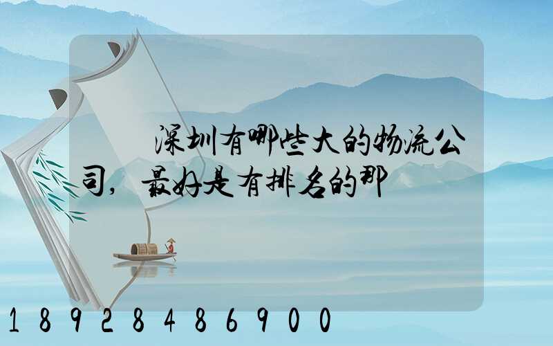 請問深圳有哪些大的物流公司,最好是有排名的那種