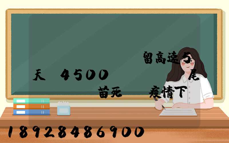 貨車(chē)滯留高速5天,4500萬(wàn)尾魚(yú)苗死亡,疫情下貨車(chē)司機(jī)有多不易