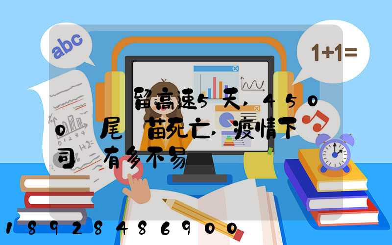 貨車滯留高速5天,4500萬尾魚苗死亡,疫情下貨車司機有多不易