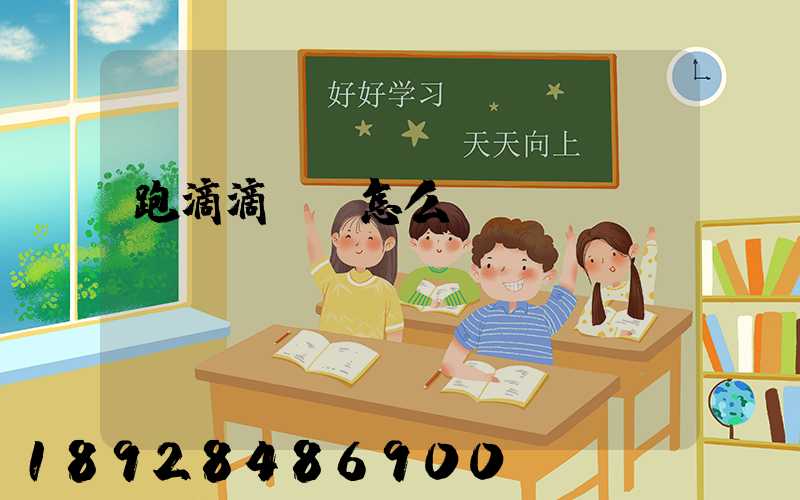 跑滴滴貨運怎么樣