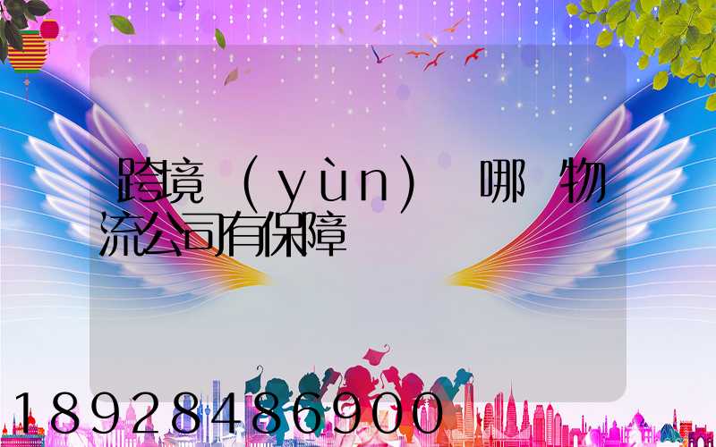 跨境運(yùn)輸哪個物流公司有保障