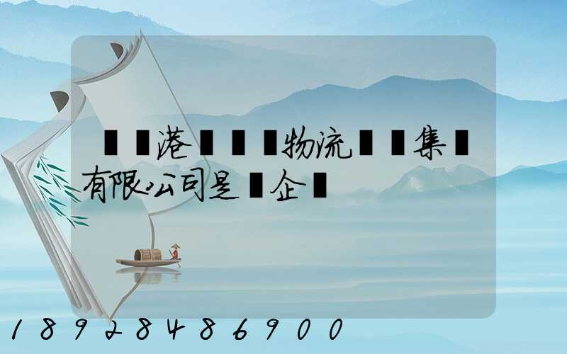 遼寧港鐵國際物流實業集團有限公司是國企嗎