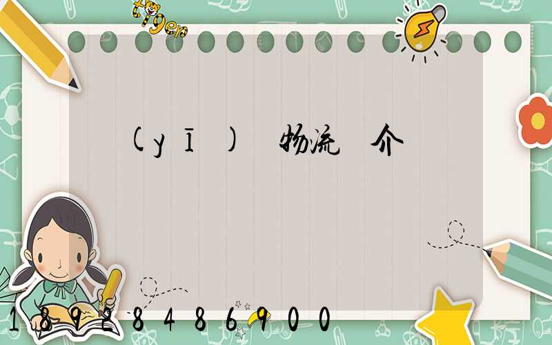 醫(yī)藥物流簡介