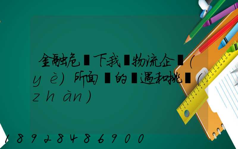 金融危機下我國物流企業(yè)所面對的機遇和挑戰(zhàn)