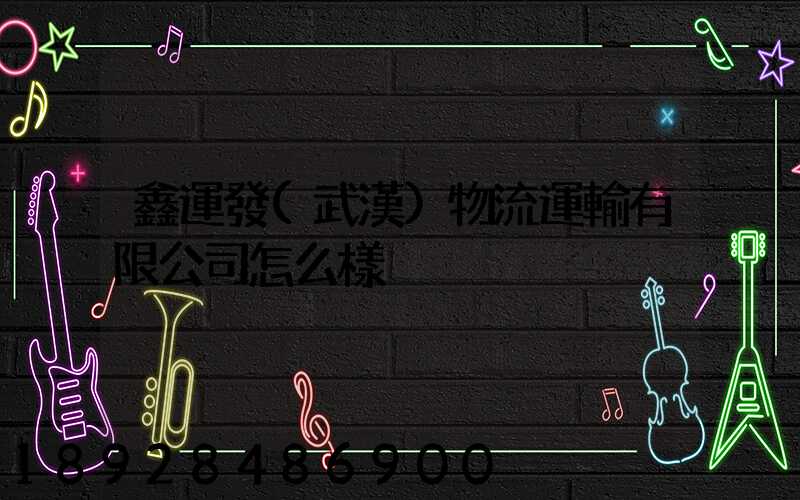 鑫運發(武漢)物流運輸有限公司怎么樣