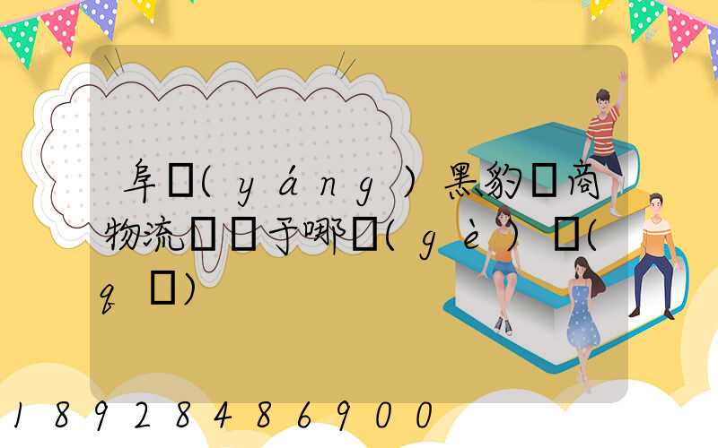 阜陽(yáng)黑豹電商物流園屬于哪個(gè)區(qū)