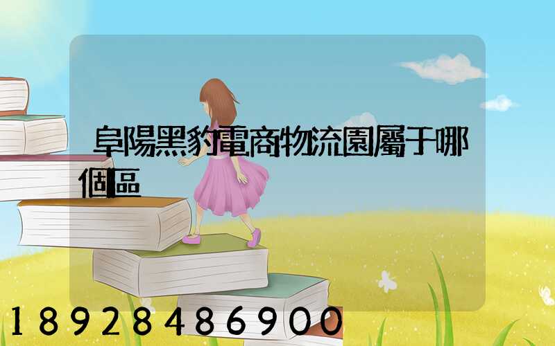 阜陽黑豹電商物流園屬于哪個區