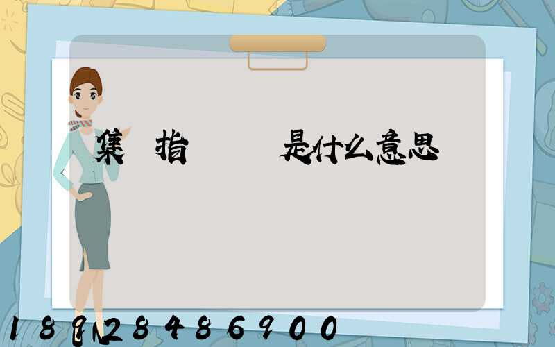 集運指數歐線是什么意思