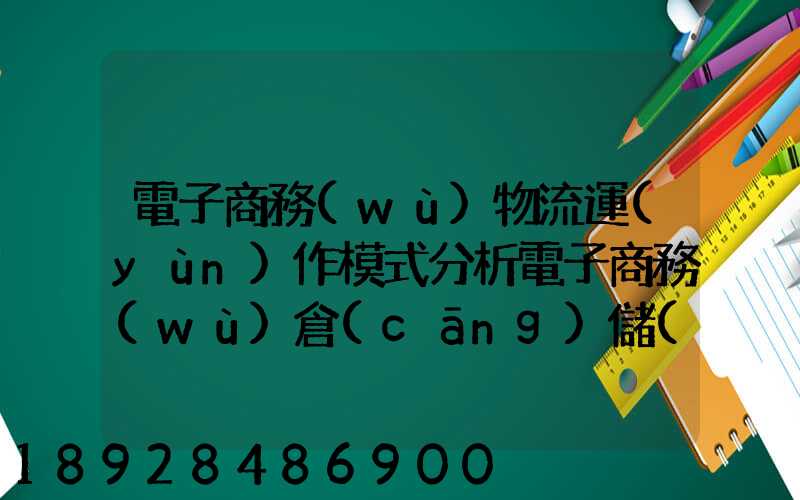 電子商務(wù)物流運(yùn)作模式分析電子商務(wù)倉(cāng)儲(chǔ)物流模式分析