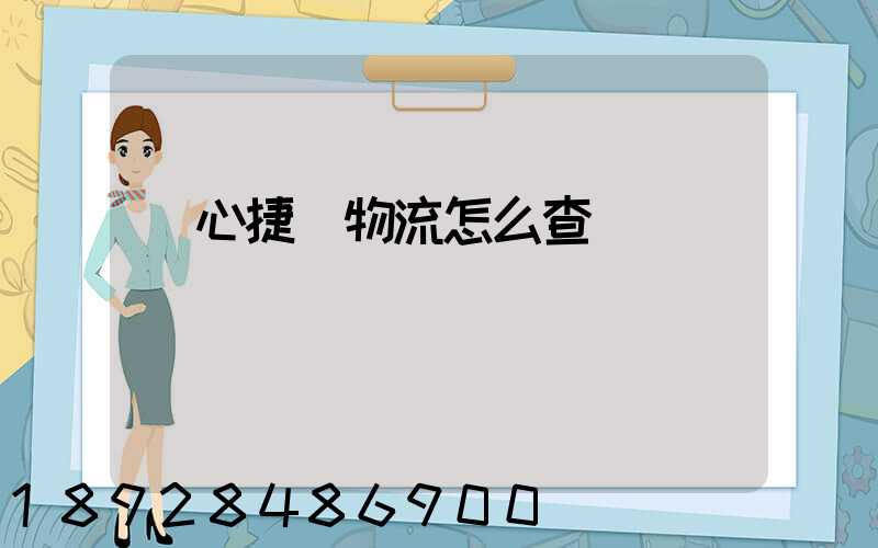 順心捷達物流怎么查