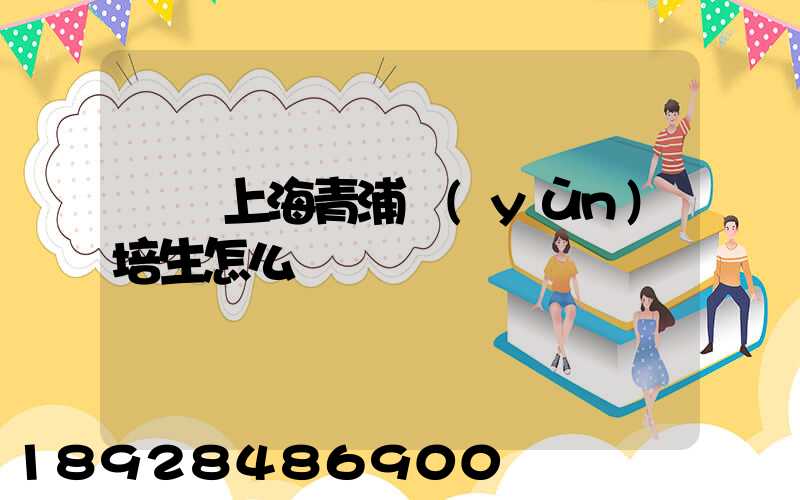 順豐上海青浦運(yùn)培生怎么樣