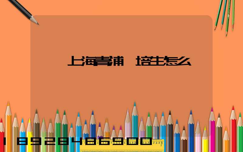 順豐上海青浦運培生怎么樣