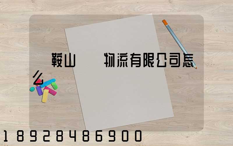 馬鞍山鐵獅物流有限公司怎么樣